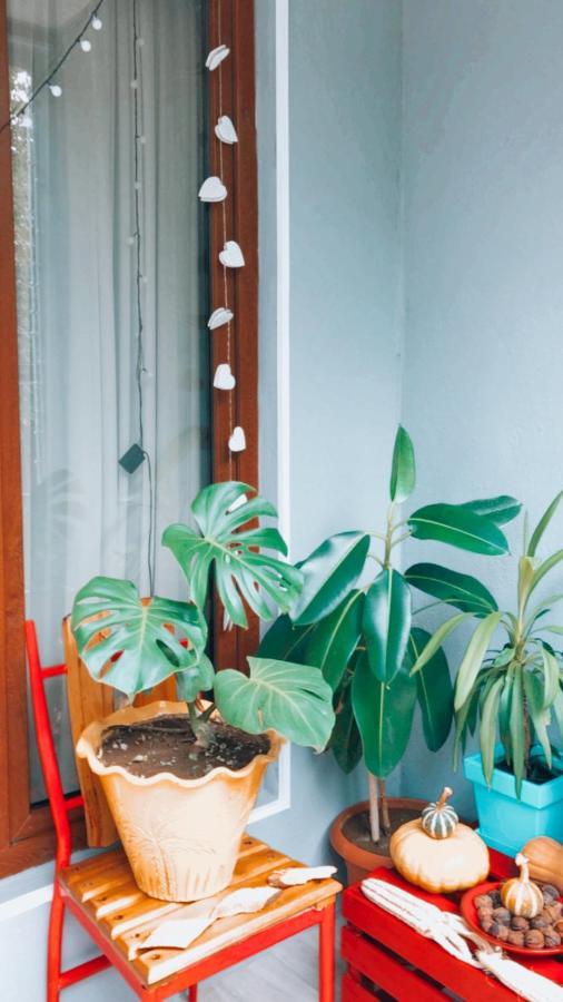 Sweet Apartment In Kutaisi Exterior foto